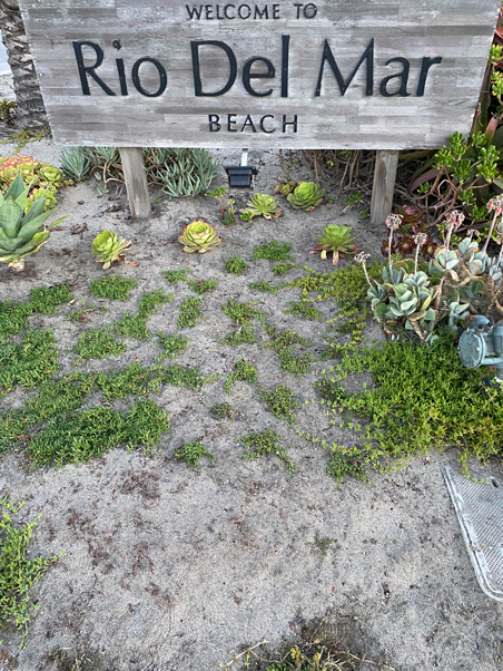 photo of a sign greeting people to the beach